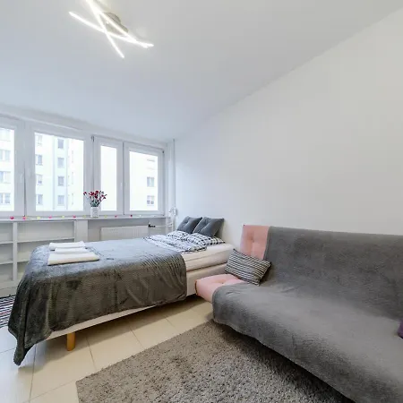 In The Center Of Apartman